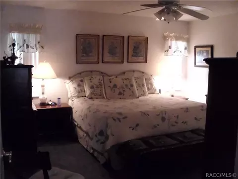 3673 Eagle Cove Ct, Hernando, FL 34442 photo 23
