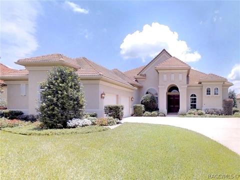 1615 N Eagle Ridge Path, Hernando, FL 34442 photo 1