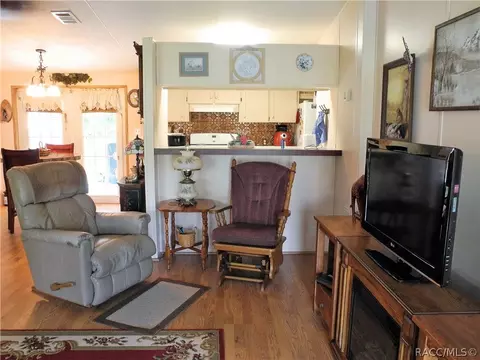 1724 E Naperville Ln, Hernando, FL 34442 photo 9