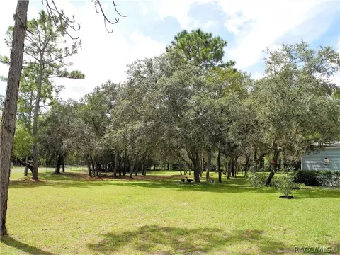 1724 E Naperville Ln, Hernando, FL 34442 photo 7