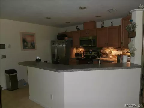 3115 E Millwood Ln, Hernando, FL 34442 photo 10