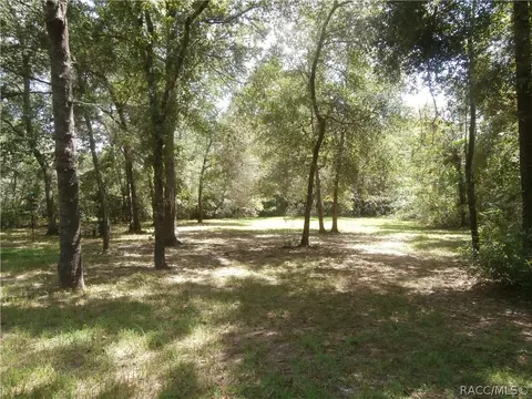3115 E Millwood Ln, Hernando, FL 34442 photo 5