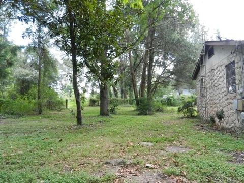 1186 E Runnels Ln, Hernando, FL 34442 photo 3