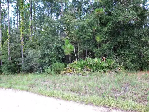 7301 N Heller Ave, Dunnellon, FL 34433 photo 2