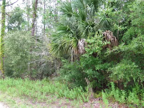 7301 N Heller Ave, Dunnellon, FL 34433 photo 1