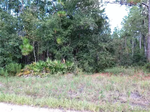 7301 N Heller Ave, Dunnellon, FL 34433 photo 4