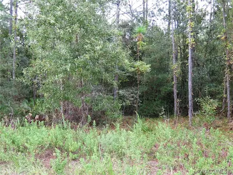 7301 N Heller Ave, Dunnellon, FL 34433 photo 3