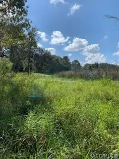 7782 E Timber Ln, Inverness, FL 34453 photo 9