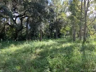 7782 E Timber Ln, Inverness, FL 34453 photo 15