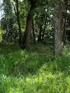 7782 E Timber Ln, Inverness, FL 34453 photo 14