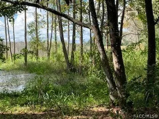 7782 E Timber Ln, Inverness, FL 34453 photo 8