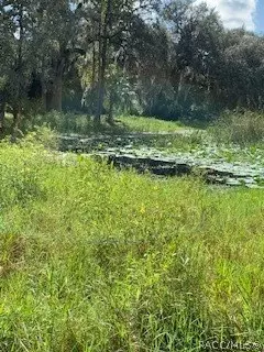7782 E Timber Ln, Inverness, FL 34453 photo 12