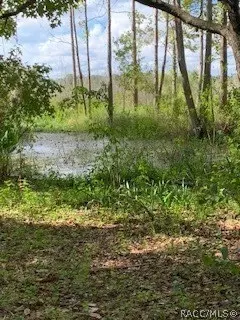 7782 E Timber Ln, Inverness, FL 34453 photo 10