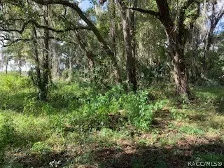 7782 E Timber Ln, Inverness, FL 34453 photo 16