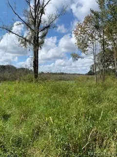 7782 E Timber Ln, Inverness, FL 34453 photo 13