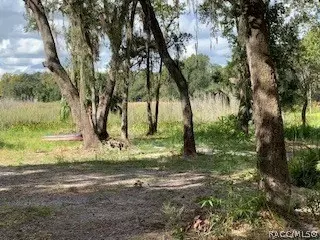 7782 E Timber Ln, Inverness, FL 34453 photo 6