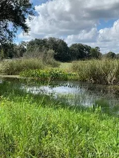 7782 E Timber Ln, Inverness, FL 34453 photo 1