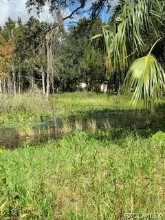 7782 E Timber Ln, Inverness, FL 34453 photo 11
