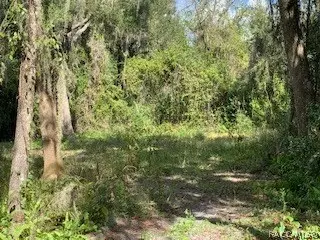 7782 E Timber Ln, Inverness, FL 34453 photo 7