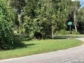 7782 E Timber Ln, Inverness, FL 34453 photo 17