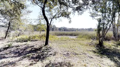 6743 N Hartman Path, Hernando, FL 34442 photo 39