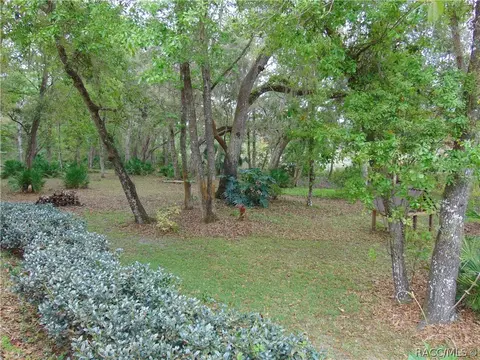 6743 N Hartman Path, Hernando, FL 34442 photo 36