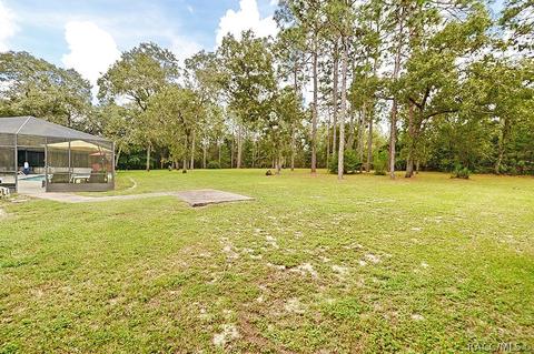 1402 W Mineral Ct, Hernando, FL 34442 photo 36