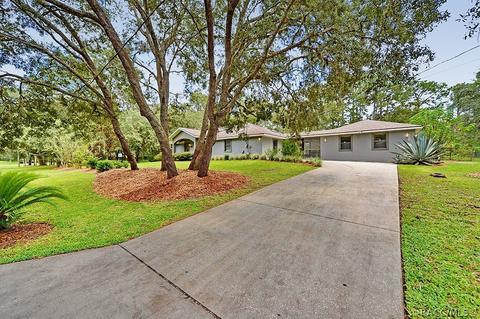 1402 W Mineral Ct, Hernando, FL 34442 photo 5