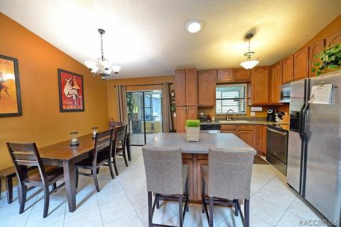 1402 W Mineral Ct, Hernando, FL 34442 photo 13