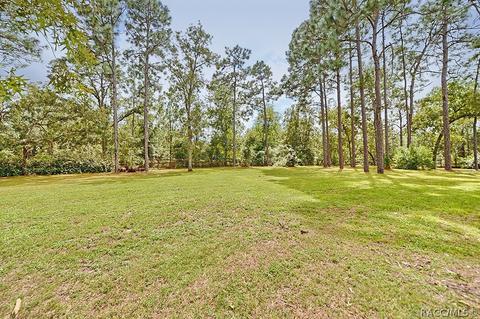 1402 W Mineral Ct, Hernando, FL 34442 photo 40