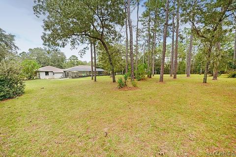 1402 W Mineral Ct, Hernando, FL 34442 photo 39