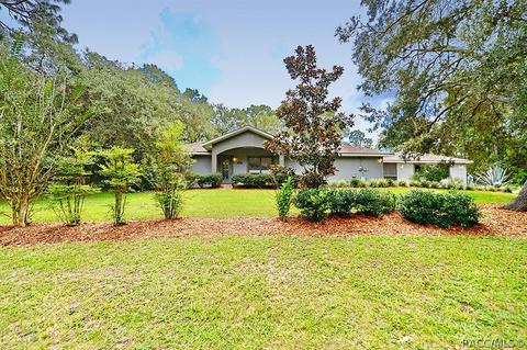1402 W Mineral Ct, Hernando, FL 34442 photo 1
