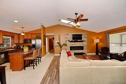 1402 W Mineral Ct, Hernando, FL 34442 photo 9