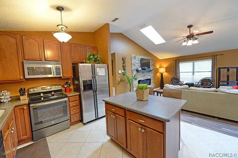 1402 W Mineral Ct, Hernando, FL 34442 photo 10