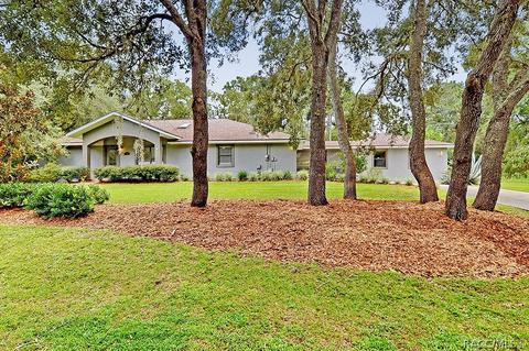 1402 W Mineral Ct, Hernando, FL 34442 photo 4