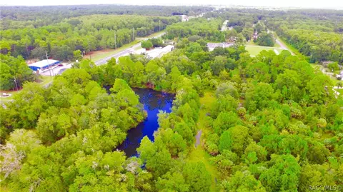 4125 S Grandmarch Ave, Homosassa, FL 34446