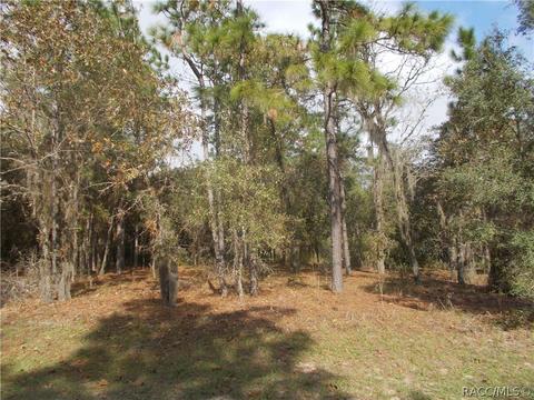 93 E Reehill St, Lecanto, FL 34460 photo 1