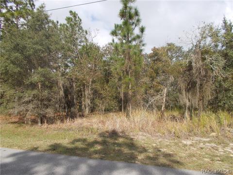 93 E Reehill St, Lecanto, FL 34460 photo 2