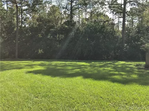 1709 W 1681 W Redding St, Hernando, FL 34442 photo 49