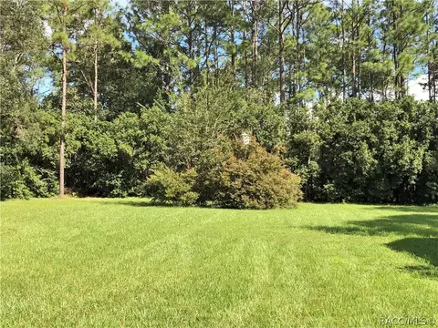 1709 W 1681 W Redding St, Hernando, FL 34442 photo 46