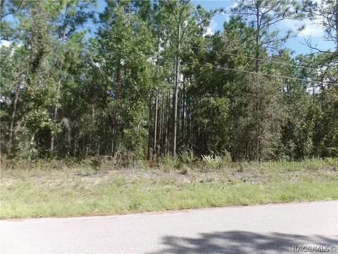 1387 W Union St, Hernando, FL 34442 photo 5