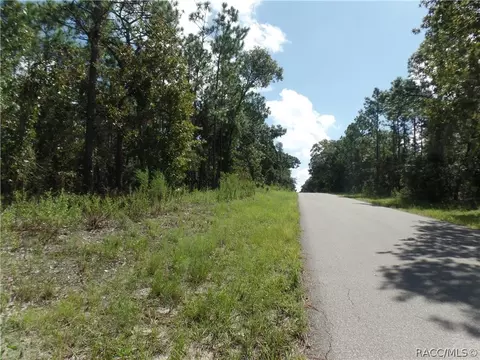 1387 W Union St, Hernando, FL 34442 photo 6