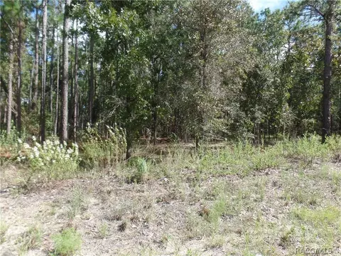 1387 W Union St, Hernando, FL 34442 photo 2