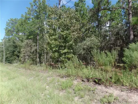1387 W Union St, Hernando, FL 34442 photo 1