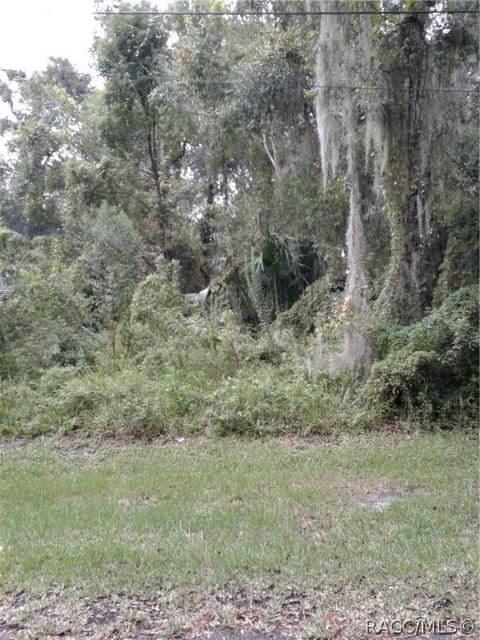6022 E Willow St, Inverness, FL 34452 photo 1