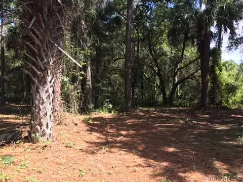 171 Gladys Ave, Inglis, FL 34449 photo 7