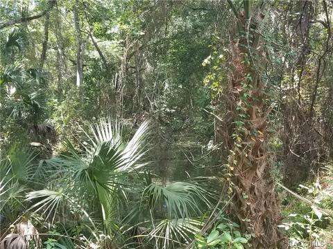 780 40 Hwy E, Inglis, FL 34498 photo 19