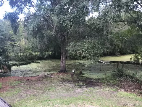 5755 E River Rd, Hernando, FL 34442 photo 22