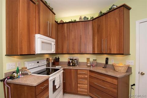 779 W Toucan Loop, Hernando, FL 34442 photo 3