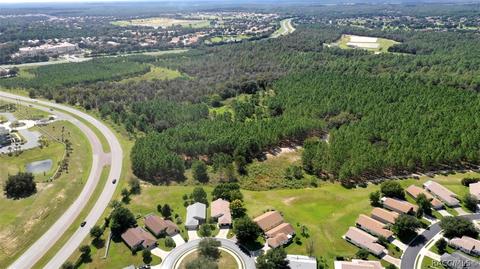 779 W Toucan Loop, Hernando, FL 34442 photo 38